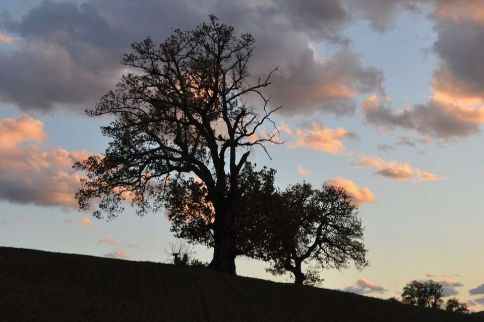 Centro Olistico Il Risveglio - Galleria fotografica - Paesaggi, sentieri, natura