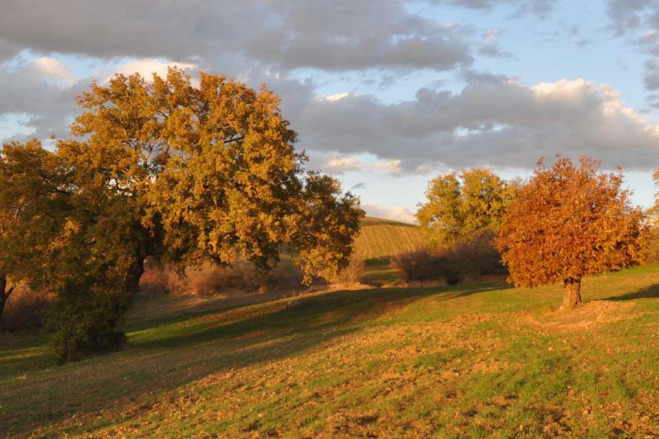 Centro Olistico Il Risveglio - Galleria fotografica - Paesaggi, sentieri, natura