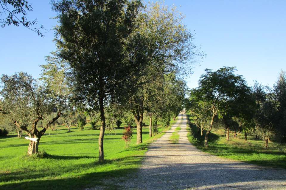 Centro Olistico Il Risveglio - Galleria fotografica - Paesaggi, sentieri, natura