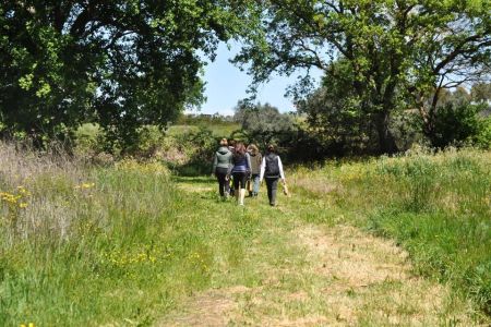 Centro Olistico Il Risveglio - Attività - Camminate