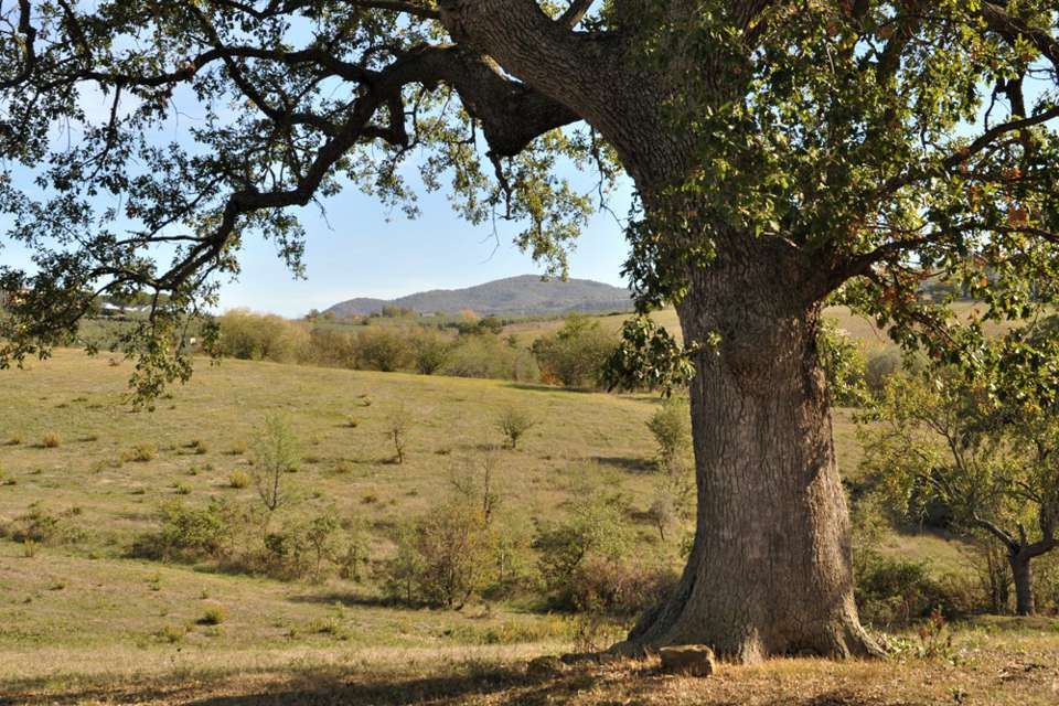 Centro Olistico Il Risveglio - Galleria fotografica - Paesaggi, sentieri, natura