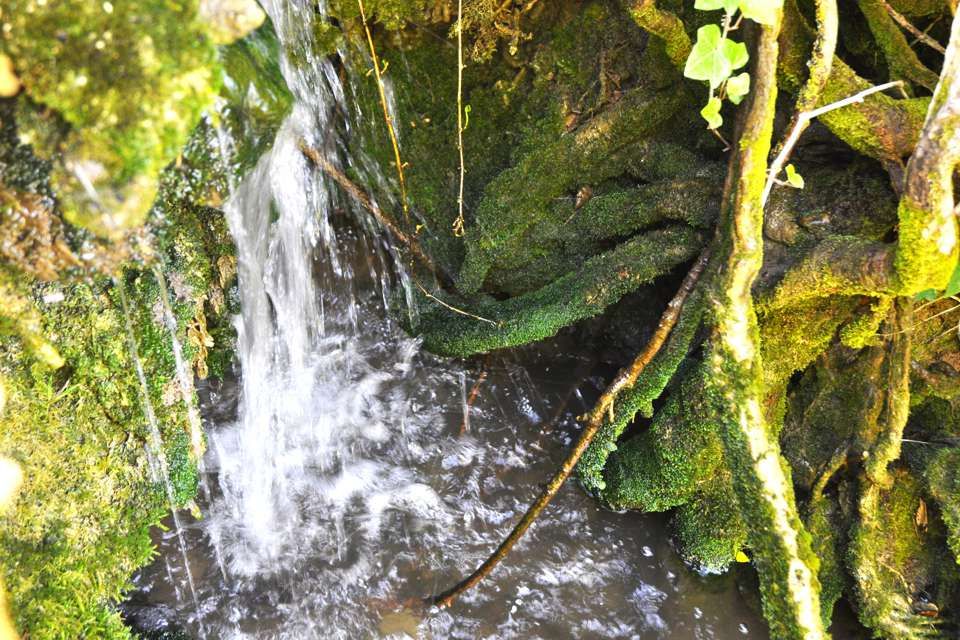 Centro Olistico Il Risveglio - Galleria fotografica - Paesaggi, sentieri, natura